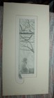 Vtg Richard Volpe Artist Proof Etching Limited Edition Signed Cat   Bird
