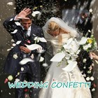 White Dried Real Rose Petals 1 6oz Natural Preserved For Wedding Confetti