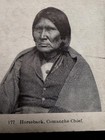 Horseback Comanche Chief Native American Stereo View  177