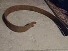 Rustic Vtg Antique Steel Plow Shank Tooth Tine Cultivator Part 