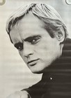 Vintage Original 1967 David Mccallum Man From U n c l e  1967 41 5 X 29 Inches
