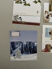 Christmas Cards Set Of 5 Mixed Holiday Season Greetings Doggy   s Animal Lovers