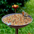 Diam 11 4  W X 32 3  H Cast Iron Pedestal Bird Bath  Bird Baths For Outdoors vin