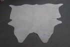 100  New Cowhide Rugs Area Cow Skin Leather  51  X 50   Cow Hide Sa-6219