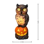 Halloween Light-up Owl Statue  7 87  Led Glowing Eyes Owl On Pumpkin Fall