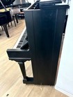 Steinway K52 Tall Upright Satin Polish 52  Piano