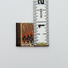 Dollhouse Miniature Book The Pied Piper  132 Of 500 Barbara Raheb Rare