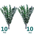 Dried Eucalyptus For Shower  17    Natural Fresh Green Plant  Real Leaves 
