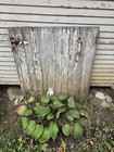 Reclaimed Salvage Antique Weathered Wood Barn Door Panel W  Diagonal Brace