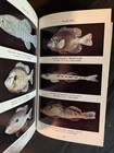 Freshwater Fishes Of Louisiana By Neil H  Douglas