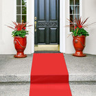 Red Carpet Runner Rug For Party 55gsm Thickness Red Carpet For Prom With 1 Piece
