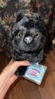 Webkinz Signature Timber Wolf With Grey   Black Wolf