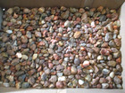 21   Pounds Lake Superior Agate Tumbler Mix Huge Lot Recently Picked On Superior