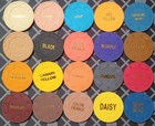 Paulson Chip Manufacturer s Color Sample Set  78 Total Chips  Top Hat   Cane 