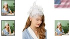 Lightweight Mesh Fascinator With Feathers - Perfect For Tea Parties   Cocktails