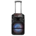 Portable 12  Heavy Bass Bluetooth Party Speaker W fm Aux Mic Remote Rechargeable