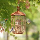 Wild Bird Feeder Squirrel Proof Metal Bird Seed For Outside Hanging 3 8lb Large
