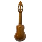 Charango Traditional Folk String Instrument Body Only Brown