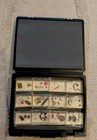 Educational Resin Animal Specimen Set Nature s Windows - Taxonomic Survey