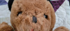 Eden Teddy Bear Vtg Brown Plush Stuffed Animal Red Ribbon 13 korea 1988