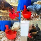 New10 Pcs Chicken Automatic Watering Cups Poultry Drinker Waterer Duck Quail Hen