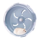 Large Hamster Exercise Wheel Plastic Small Rodent Exercise Running Wheel