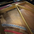 Yamaha  G3  Grand Piano Outlet