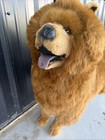 Jouets Berger Stuffed Chow Large Rare 