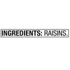  2 Pack  Great Value Sun-dried Raisins Canister  20 Oz  1lb 4oz  567g