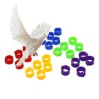 100pcs Bird Rings Leg Bands For Pigeon Parrot Finch Canary Poultry Rings 