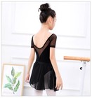 Ballet Dress For Girls  Toddler Dance Leotard With Tutu Skirt Short  Ballerina O