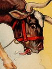 Cowgirl 1930s Western Rodeo Celebration Vintage Style Poster - 20x30