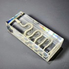 Small Snake Skeleton In Resin  Real Animal Skeletons  Enhydris Chinensis