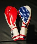 Title Mexico   Usa Boxing Gloves Limited Edition 14oz