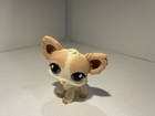 Authentic Hasbro Littlest Pet Shop Chihuahua Bundle 