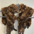 Vintage F  Karl Beckh   Co  Full-body Mink Fur  authentic Fur Collar Wrap Stole 