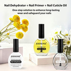 16 5ml Nail Dehydrator And Nail Primer With Cuticle Oil Set Ideal For Salon Or H