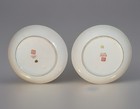 Vtg Set Of 2 Asian Decorative 10    Plates W fan Design-euc
