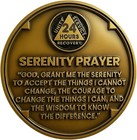 1 Year Lotus Sobriety Coin - Serenity Prayer Aa Medallion  Premium Recovery T   
