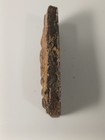 Thai Buddha Amulet