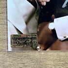 Mike Tyson Autographed Boxing Champion 8x10 Photo Coa Authentic Hologram