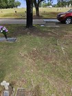 Cemetery Plots Near Trees And Benches  Grass Area With Grave Markers