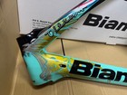 Bianchi Oltre Xr4 2019 Limited Edition Carbon Road Bike Frameset Size 57