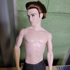 Twilight Saga Edward 2009 Barbie Collector Pink Label 12  Doll New Moon Vampire