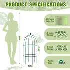 Slsy 3 Pack Plant Cage Support  31 5 h Peony Support Cage Plants Support Frame