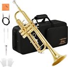     eastar Etr-380 Bb Trumpet - Student   Intermediate Concert School Band Trumpet