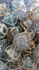 Japanese Glass Fishing Floats 3-3 5  Netted Lot-9 Net Buoy Antique Usa Bz