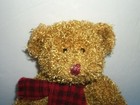 Russ Teddy Bear Plush Honey Brown Sparkly Fur  Red Plaid Scarf 9  Stuffed Toy