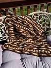 Handmade Crocheted Ripple Throw Blanket Afghan Brown Orange White Chevron