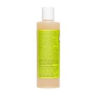 Uncle Harry s Lice Away Shampoo To Treat Head Lice  Safe For All Ages  8 Fl Oz